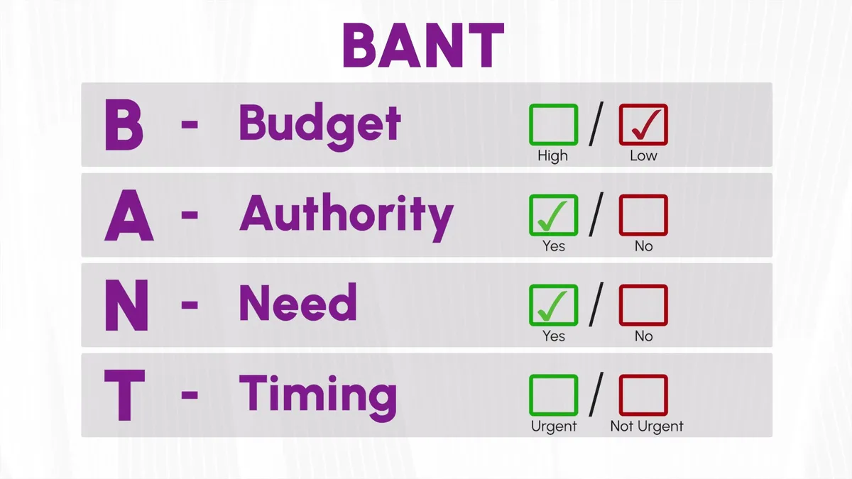 BANT framework breakdown showing Budget, Authority, Need, and Timing fields with toggle options for lead qualification forms